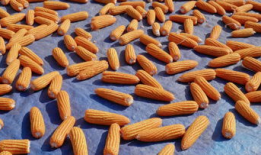 玉米视频,探索农业科技新篇章